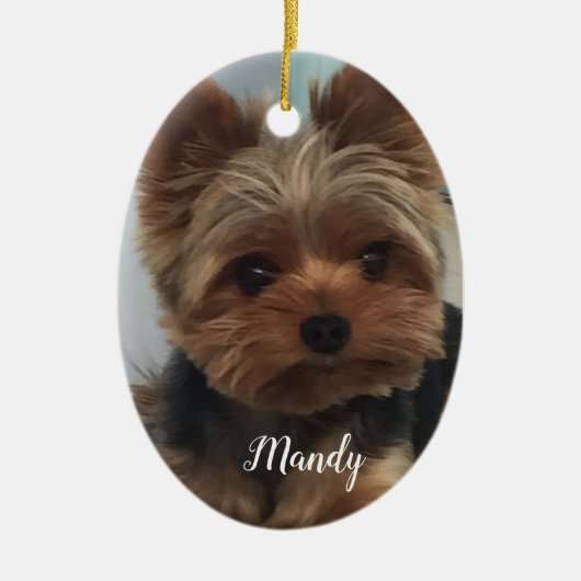 Oval Yorkie Ornament (Vorne)