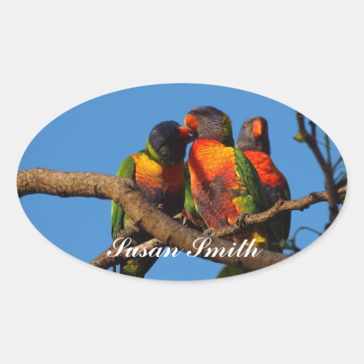Ovale Aufkleber mit Foto - Rainbow Lorikeet (Vorderseite)