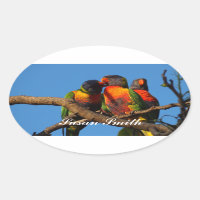 Ovale Aufkleber mit Foto - Rainbow Lorikeet
