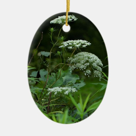 ovale Schmuckvorlage Keramik Ornament (Vorne)