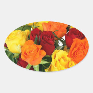 OVALE UMSCHLAG AUFKLEBER UND STICKER