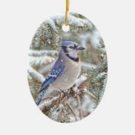 Ovale Verzierung, die ein blaues Jay im Schnee Keramikornament