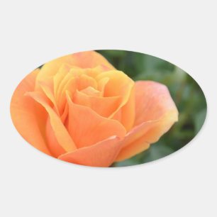ovaler Aufkleber mit orangefarbener Rose