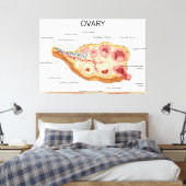 Ovarialweibchen Leinwanddruck (Insitu (Schlafzimmer))