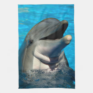 Oven Mitt und Pot Holder Geschirrtuch