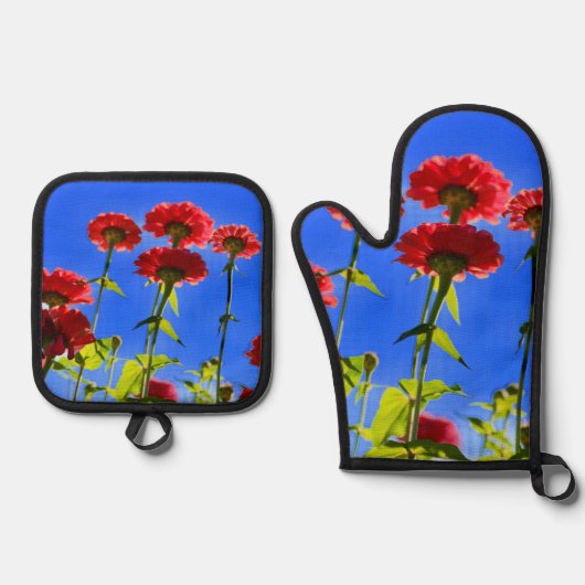 Oven Mitt und Pot Holder Ofenhandschuh & Topflappen-Set (Vorderseite)
