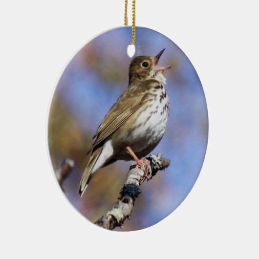 Ovenbird Keramik Ornament (Rechts)