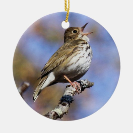 Ovenbird Keramik Ornament (Vorne)