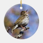 Ovenbird Keramik Ornament (Hinten)