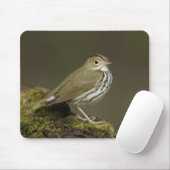 Ovenbird Mousepad (Mit Mouse)