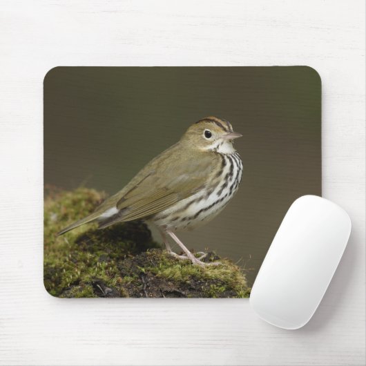 Ovenbird Mousepad (Mit Mouse)