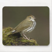 Ovenbird Mousepad (Vorne)