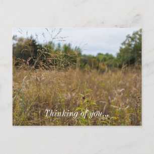 Overared Prairie Postkarte