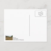 Overared Prairie Postkarte (Rückseite)