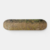 Overared Prairie Skateboard (Horizontal)