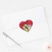 Overblown Tulip Blume Heart Sticker (Umschlag)
