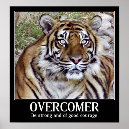 Overcomer_ Poster (Vorne)