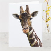 Overhead Giraffe Große Grußkarte Karte (Gelbe Blume)