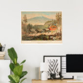 Overland Mail Company (1268A) Poster (Heimbüro)