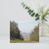 Overlooking San Juan Valley Postkarte (Stehend Vorderseite)