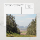 Overlooking San Juan Valley Postkarte (Vorne/Hinten)