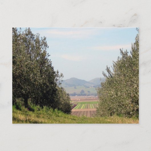 Overlooking San Juan Valley Postkarte (Vorderseite)