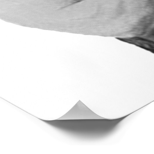 Overly Manly Man Meme Poster (Ecke)