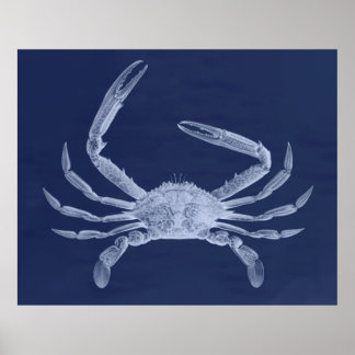 Oversifizierter Krebstiertriptych in Blau Poster