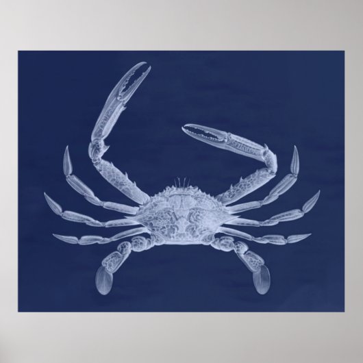 Oversifizierter Krebstiertriptych in Blau Poster (Vorne)