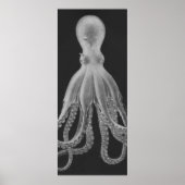 Oversifizierter Octopus Triptych II Print in Grau Poster (Vorne)
