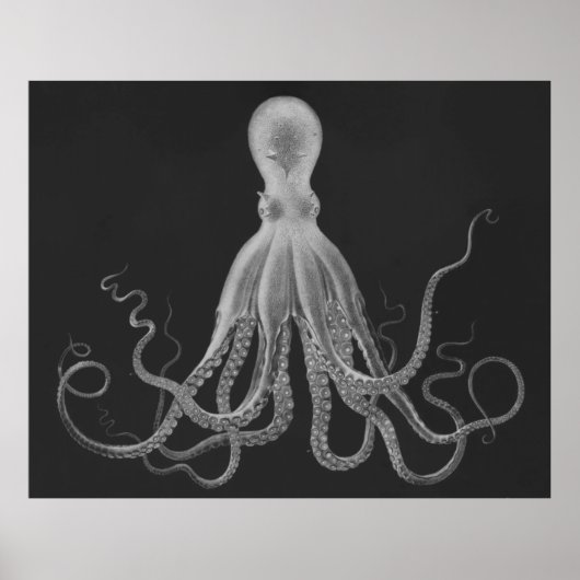Oversifizierter Octopus Triptychdruck in Grau Poster (Vorne)