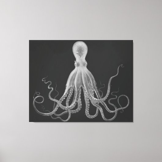 Oversifiziertes Octopus-Triptychon in Grau Leinwanddruck (Vorderseite)