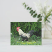 Oviedo-Huhn-Postkarte Postkarte (Stehend Vorderseite)