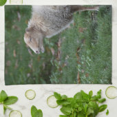 Ovis aries geschirrtuch (Gefaltet)