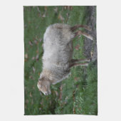 Ovis aries geschirrtuch (Vertikal)