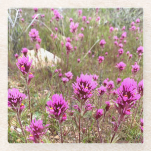 Owds enge Blume rosa Blütenwiese Glasuntersetzer