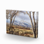 Owens Tal-Mountain View von Mt. Tom Fotoblock (Rechts)