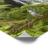 Owharoa Falls, Karangahake Gorge, in der Nähe von  Poster (Ecke)