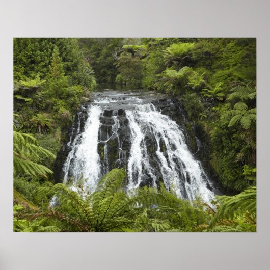Owharoa Falls, Karangahake Gorge, in der Nähe von Poster (Vorne)