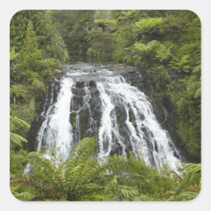 Owharoa Falls, Karangahake Gorge, in der Nähe von Quadratischer Aufkleber