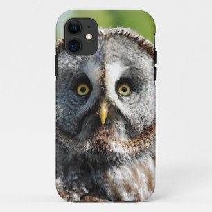Owl_20180219_by_JAMFoto Case-Mate iPhone Hülle