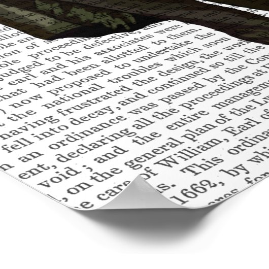 Owl an der Oper Poster (Ecke)