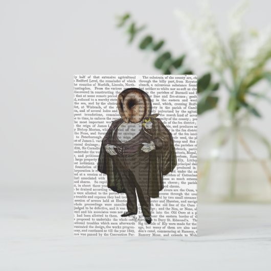 Owl an der Oper Postkarte (Stehend Vorderseite)