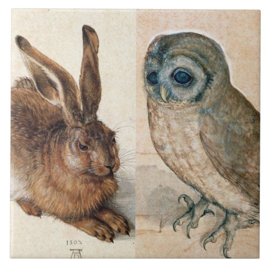 OWL AND RABBIT (Young Hare) von Albrect Durer Fliese (Vorderseite)