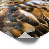Owl Animal Nature Zuneigung Poster (Ecke)