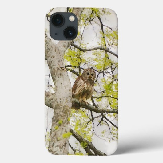 Owl Art Wild Nature Phone Case (Rückseite)
