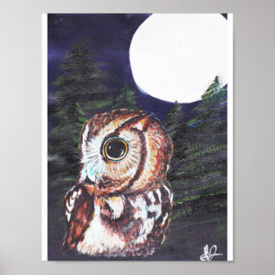Owl at night poster