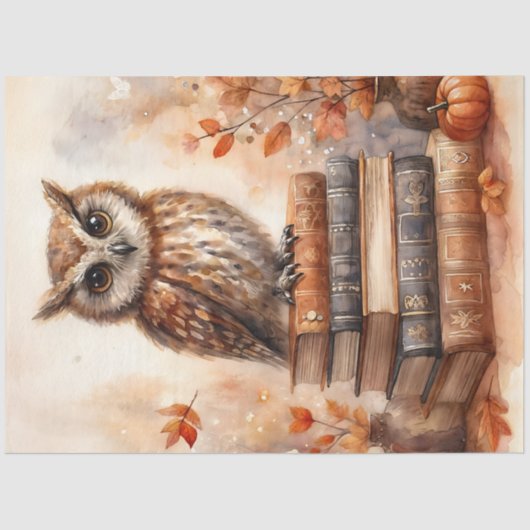 Owl auf Büchern Herbstfarbe Seidenpapier (Vorderseite)