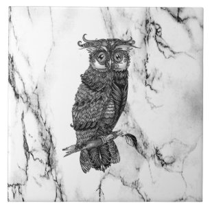 Owl auf Marmor Fliese