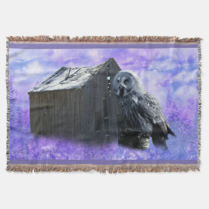 Owl Barn Shed Decke